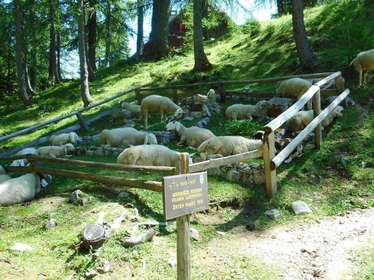 Erjavceva Mountain Hut At Vrsic Pass Hotel Kranjska Gora Ngoại thất bức ảnh